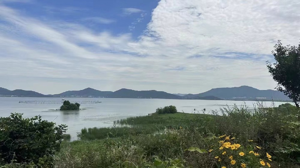 AOI离线检测设备分享看到一句话