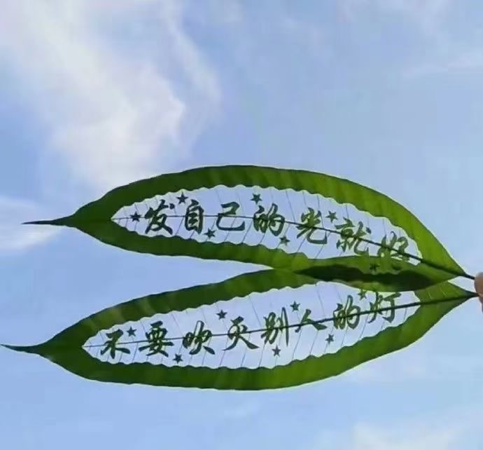 离线AOI检测仪也说说格局