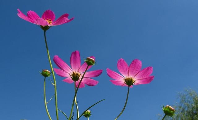 易科讯200M在线3DAOI检测仪分享人生九品