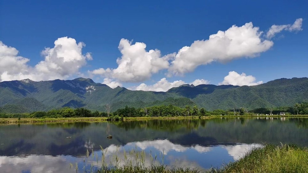 易科讯AOI分享名言名句